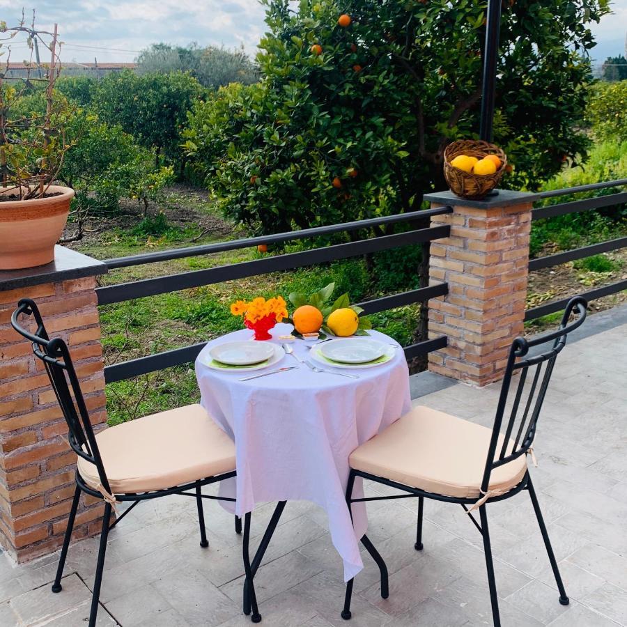 La Pomelia B&B Sofia Trappitello Zewnętrze zdjęcie