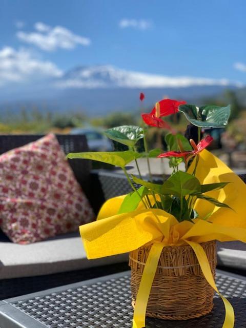 La Pomelia B&B Sofia Trappitello Zewnętrze zdjęcie