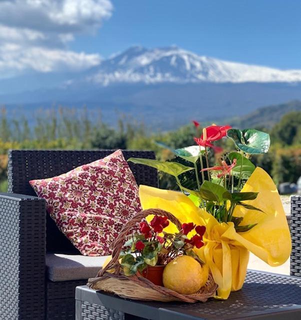 La Pomelia B&B Sofia Trappitello Zewnętrze zdjęcie