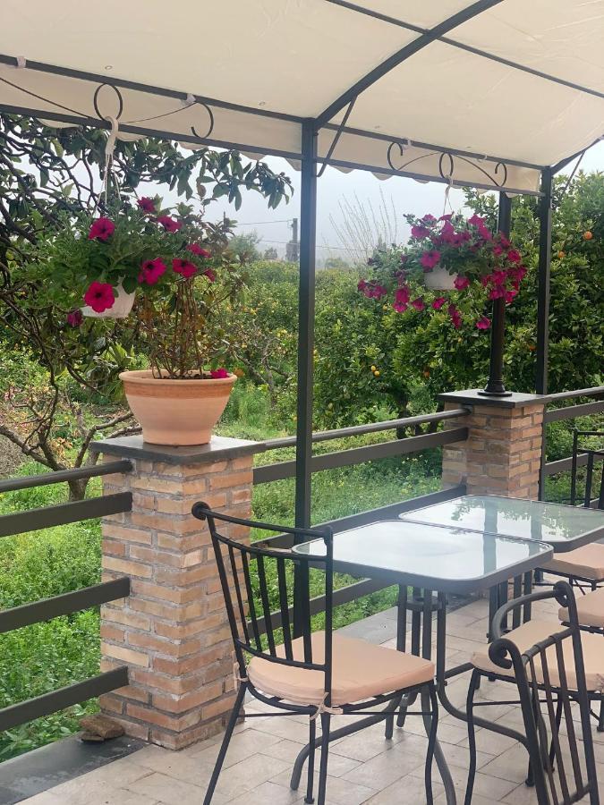 La Pomelia B&B Sofia Trappitello Zewnętrze zdjęcie