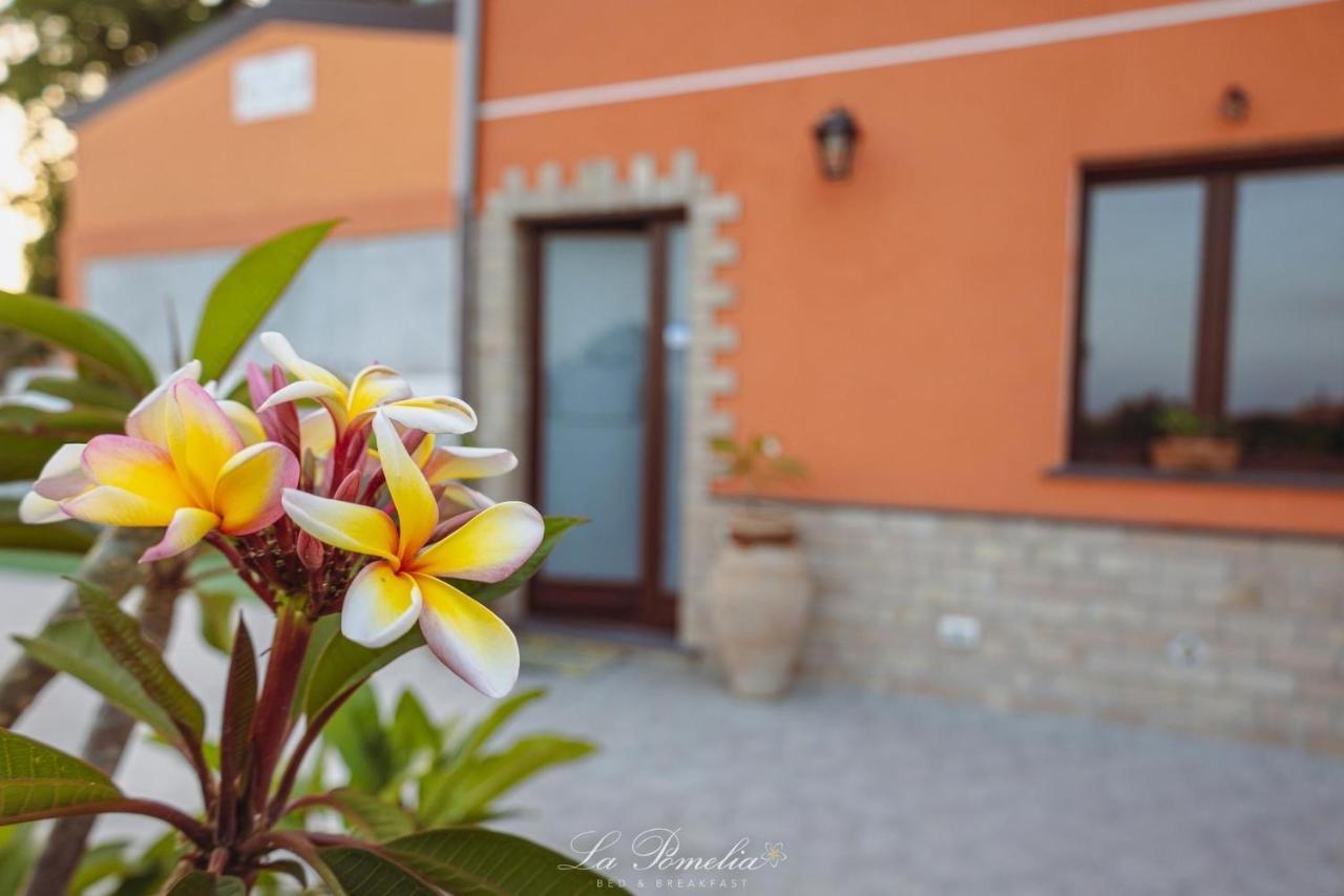 La Pomelia B&B Sofia Trappitello Zewnętrze zdjęcie