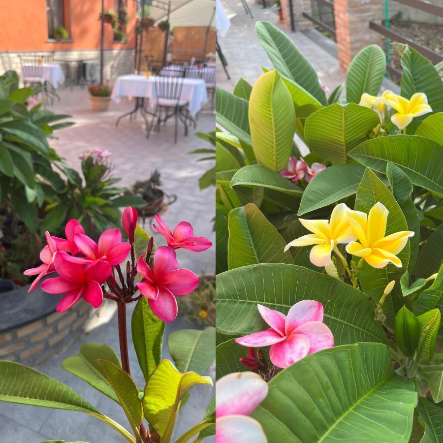 La Pomelia B&B Sofia Trappitello Zewnętrze zdjęcie