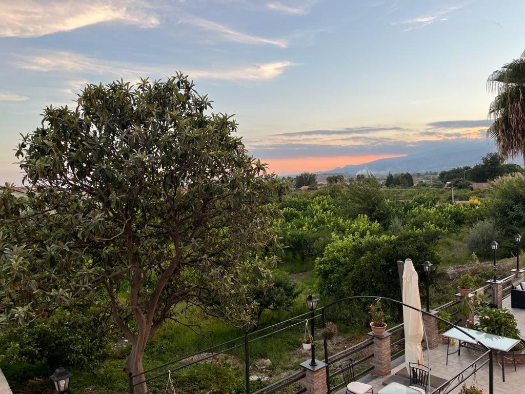 La Pomelia B&B Sofia Trappitello Zewnętrze zdjęcie